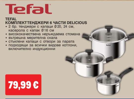 TEFAL КОМПЛЕКТ ТЕНДЖЕРИ 6 ЧАСТИ DELICIOUS