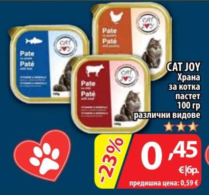 CAT JOY