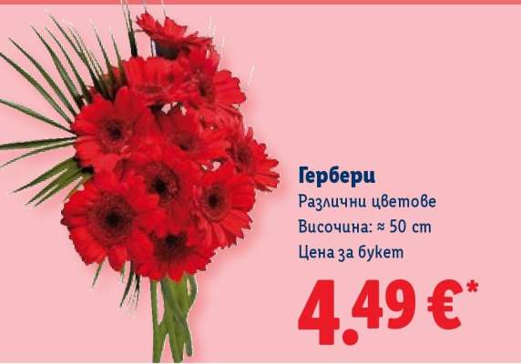 Гербери