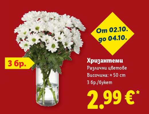 Хризантеми