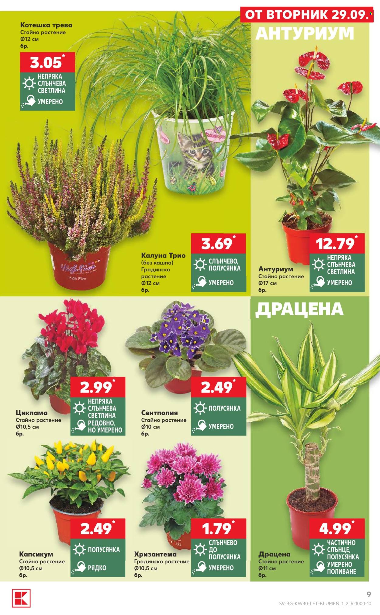 Брошура на Кауфланд - 28.09.2026 - 04.10.2026. Страница 9