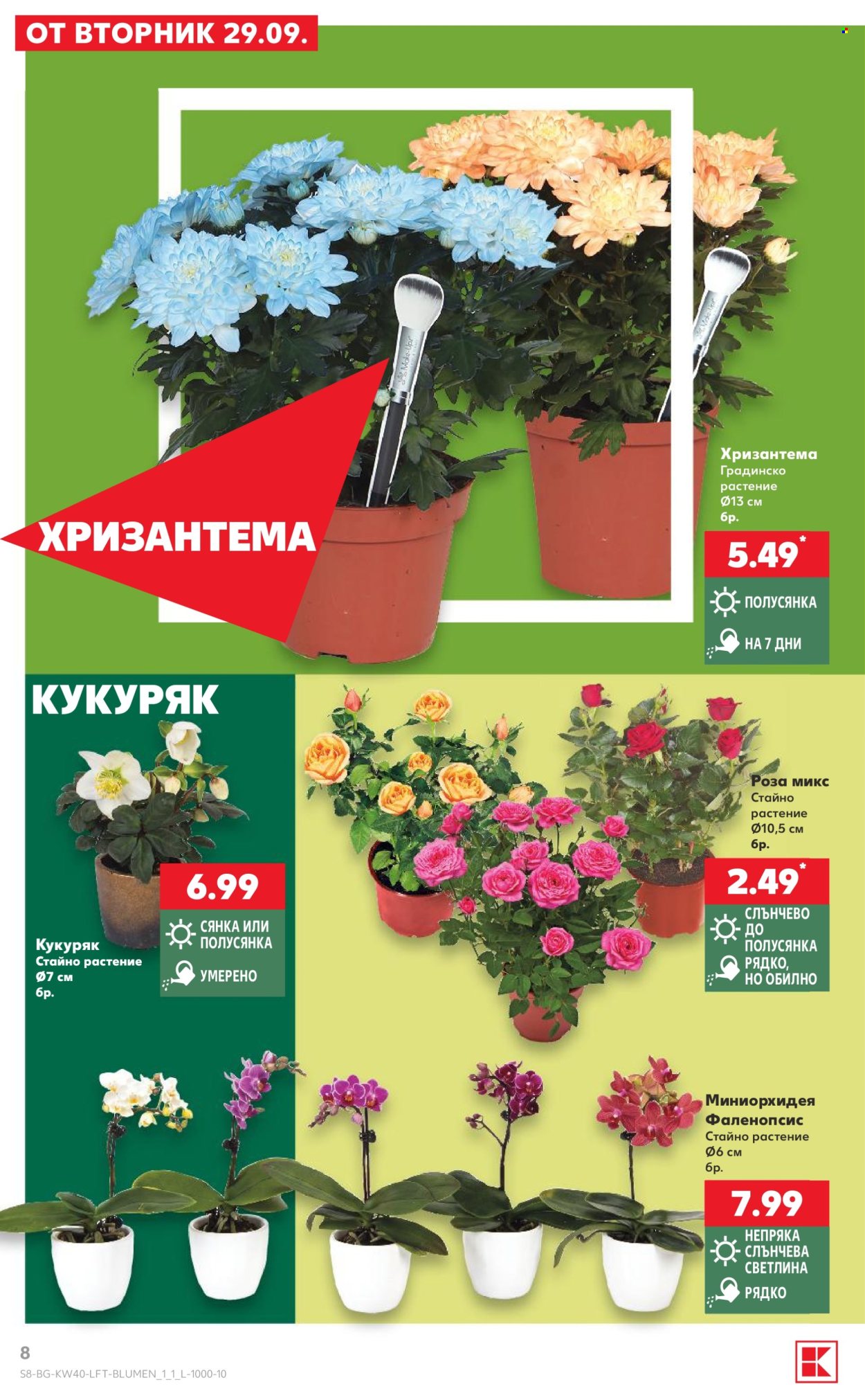 Брошура на Кауфланд - 28.09.2026 - 04.10.2026. Страница 8