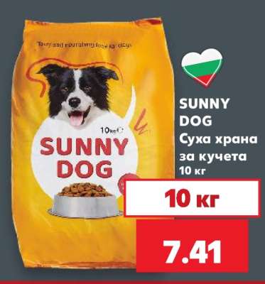 SUNNY DOG