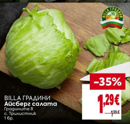 Айсберг салата
