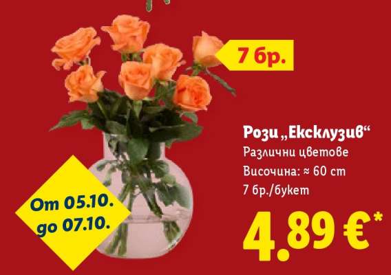 Рози „Ексклузив“