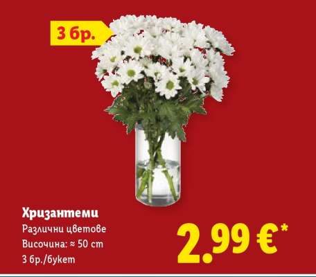 Хризантеми