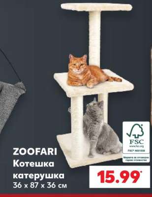 Zoofari