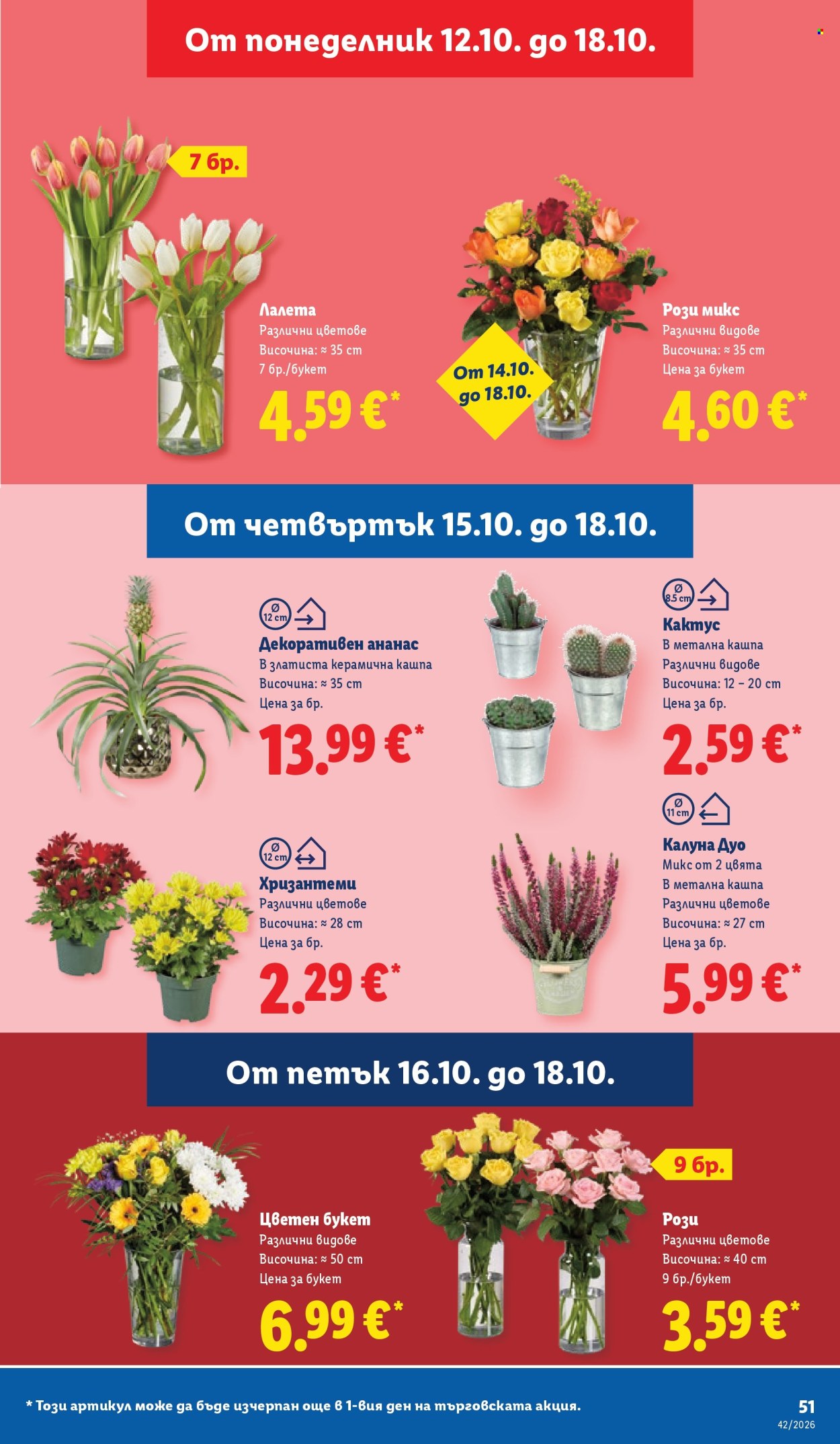 Брошура на Лидл - 12.10.2026 - 18.10.2026. Страница 51