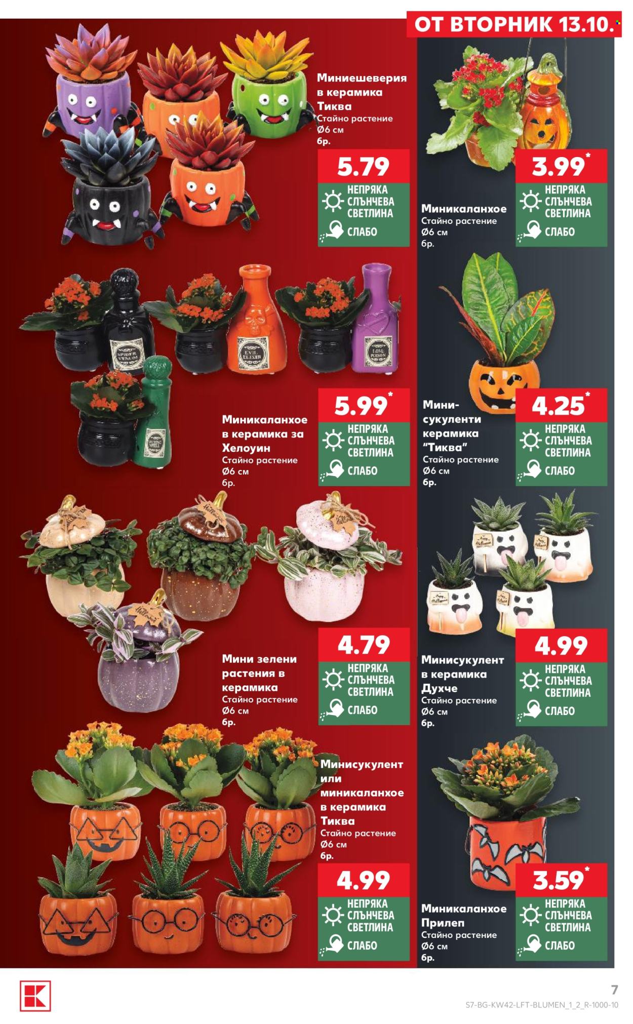 Брошура на Кауфланд - 12.10.2026 - 18.10.2026. Страница 7