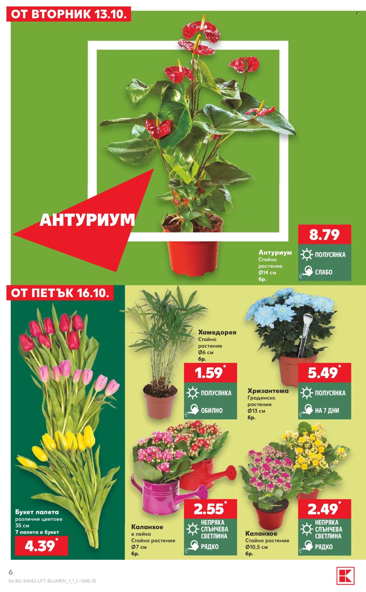 Брошура на Кауфланд - 12.10.2026 - 18.10.2026. Страница 6