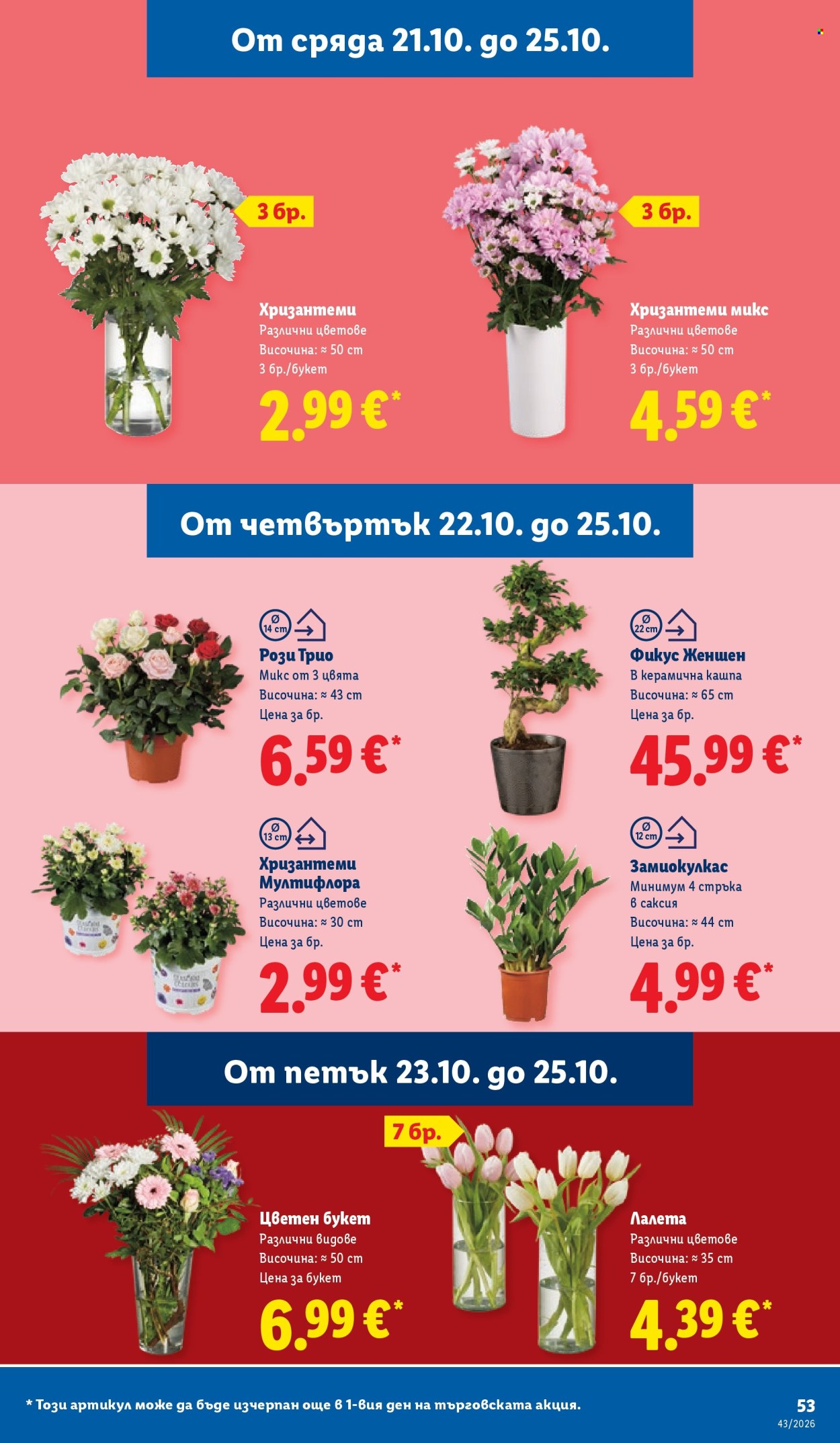 Брошура на Лидл - 19.10.2026 - 25.10.2026. Страница 53