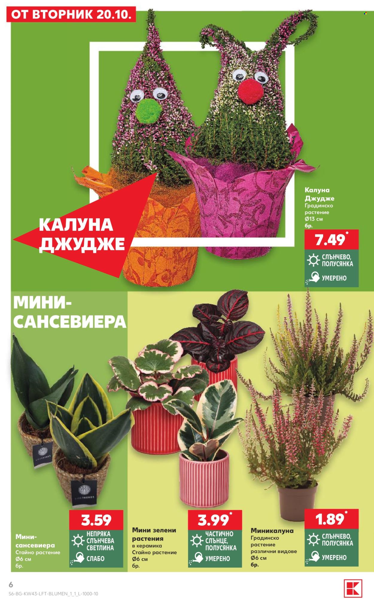 Брошура на Кауфланд - 19.10.2026 - 25.10.2026. Страница 6