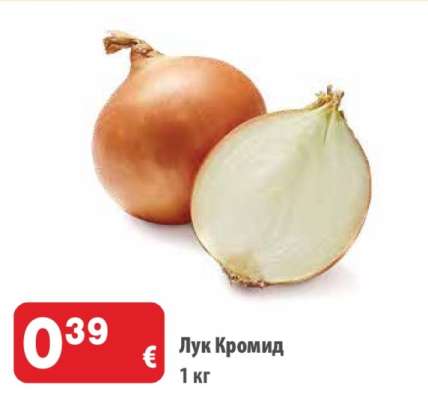 Лук Кромид