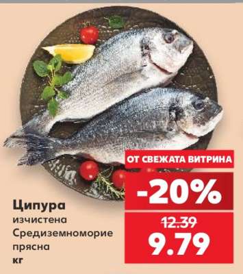 Ципура