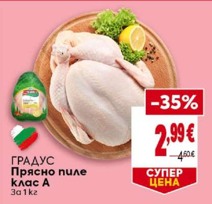 ГРАДУС Прясно пиле клас A