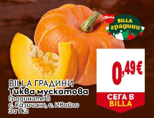 Тиква мускатова