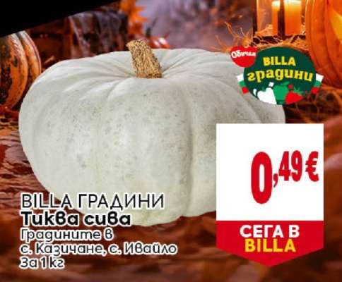 Тиква сива