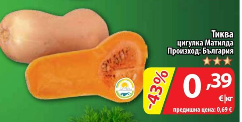 Тиква цигулка Матилда