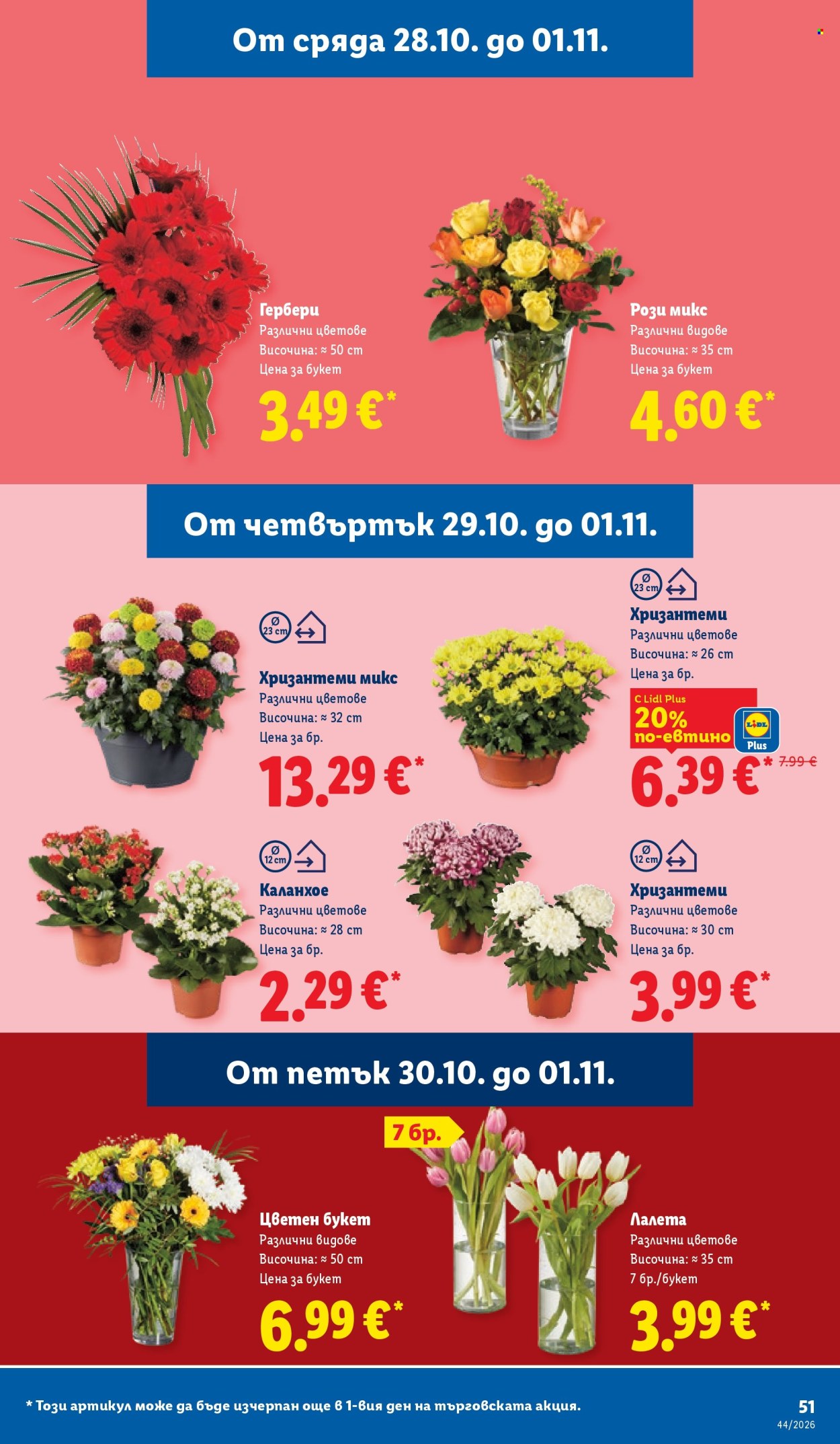 Брошура на Лидл - 26.10.2026 - 01.11.2026. Страница 51