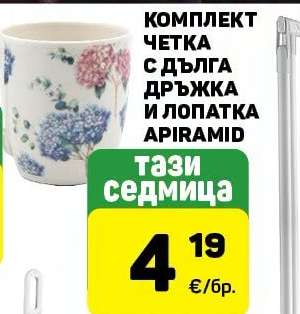 КОМПЛЕКТ ЧЕТКА С ДЪЛГА ДРЪЖКА И ЛОПАТКА APIRAMID