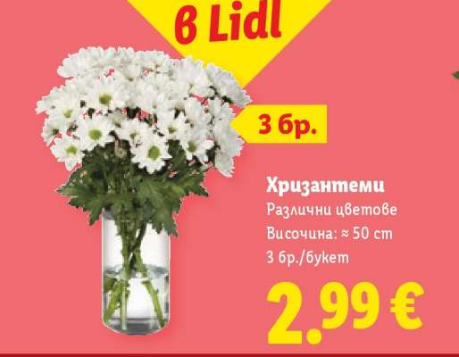Хризантеми