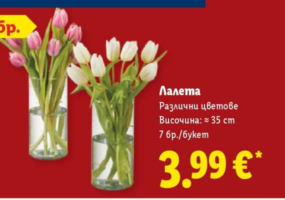 Лалета