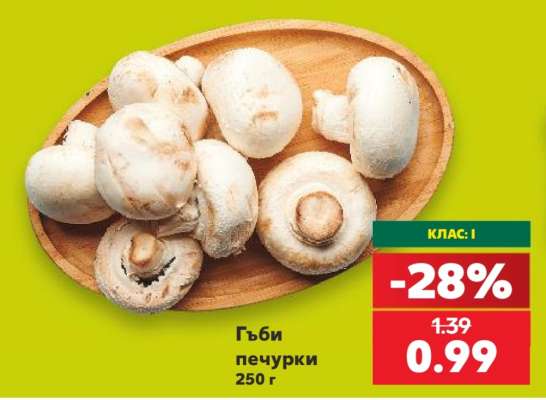 Гъби печурки