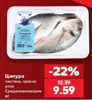 Ципура
