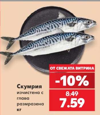 Скумрия