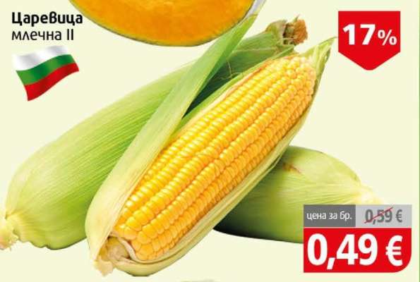 Царевица млечна II